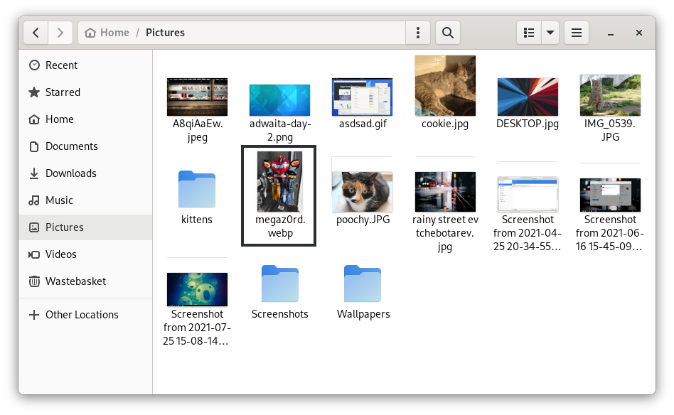 screenshot of the nautilus file manager and a webp image show correctly