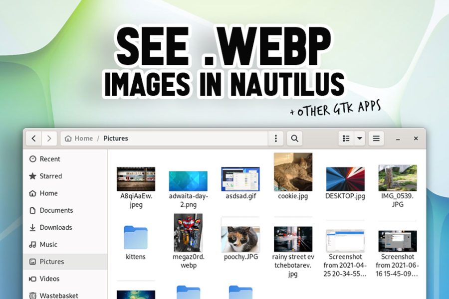 see webp- images in nautilus