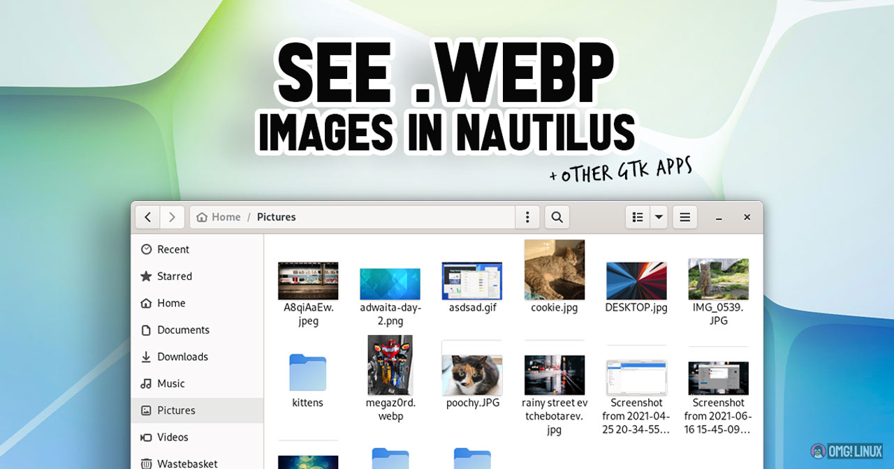 a graphic reading how to see webp images in nautilus and other gtk apps 
